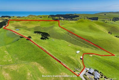 /international/nz/bothwell-park-road-waiuku-auckland-region-320103510767/