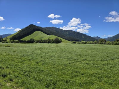 /international/nz/tunakino-valley-road-rai-valley-marlborough-320103310004/