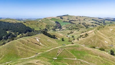 /international/nz/opaki-kaiparoro-road-masterton-wellington-320106507730/