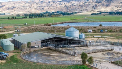 /international/nz/puketoi-runs-road-ranfurly-otago-320107471625/
