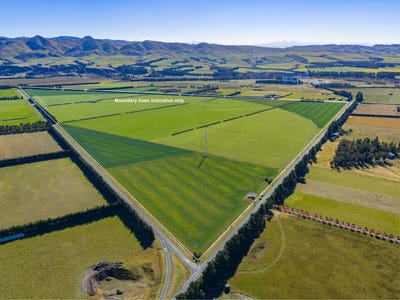 /international/nz/mount-brown-road-amberley-canterbury-320108215156/
