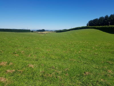 /international/nz/hillend-road-balclutha-otago-320101180951/?lang=zh-cn