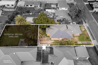 /international/nz/kiwi-street-whakatane-bay-of-plenty-320100931070/?lang=zh-cn
