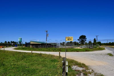 /international/nz/kohaihai-road-karamea-west-coast-320103726983/