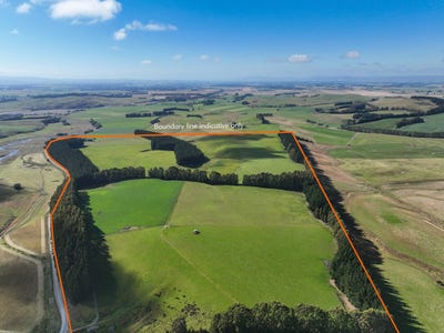 /international/nz/tomogalak-road-lumsden-southland-320106245260/