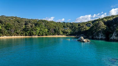 /international/nz/tokongawa-drive-kaiteriteri-tasman-320098599712/