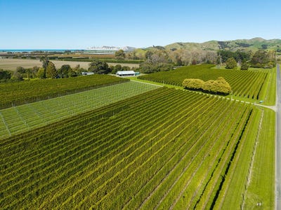 /international/nz/taurau-valley-road-manutuke-gisborne-320107669986/