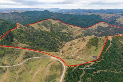 /international/nz/branscombe-road-akitio-manawatu-whanganui-320104142886/