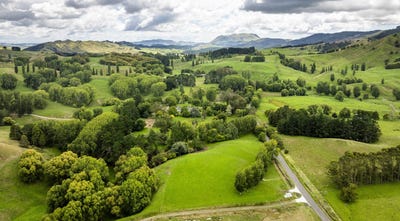 /international/nz/and-2438-kahuranaki-road-elsthorpe-hawke-s-bay-320105983854/