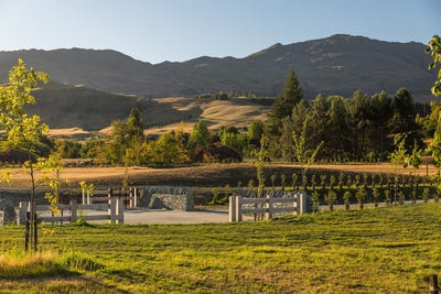 /international/nz/fitzpatrick-road-dalefield-otago-320107326545/