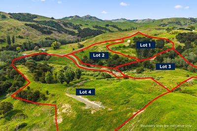 /international/nz/proposed-subdivision-goodwin-road-whataupoko-gisborne-320105806693/