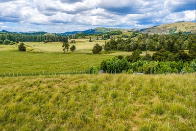 /international/nz/elsthorpe-road-elsthorpe-hawke-s-bay-320104298468/