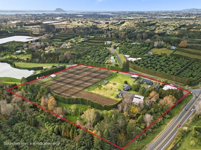 /international/nz/gill-lane-te-puna-bay-of-plenty-320100822400/
