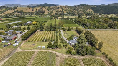 /international/nz/paton-road-hope-bay-of-plenty-320105227492/