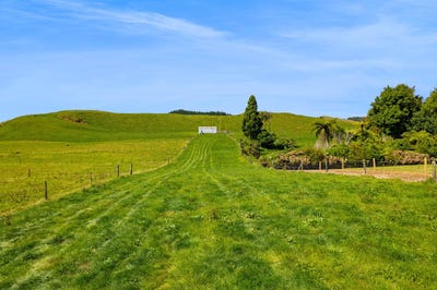 /international/nz/mangorei-road-new-plymouth-taranaki-320106383574/