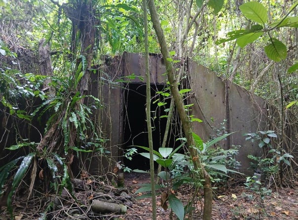 lot 3 Aore Coffee Plot, Aore Island, 