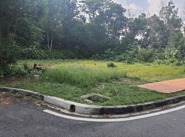 Jalan Rimba Riang, Kota Damansara, Selangor 47810