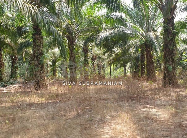 Ulu Tiram, Johor 81800