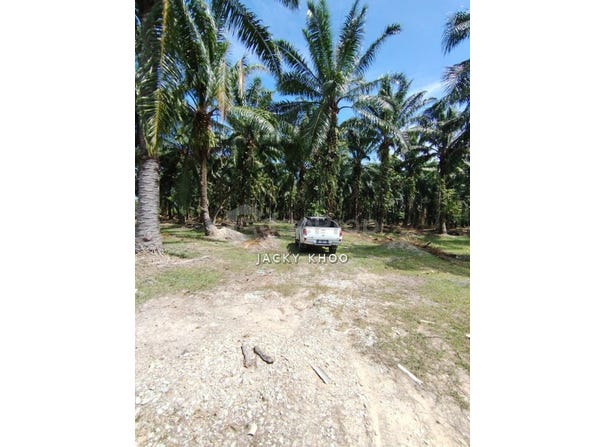 Jenjarom, Selangor 42600