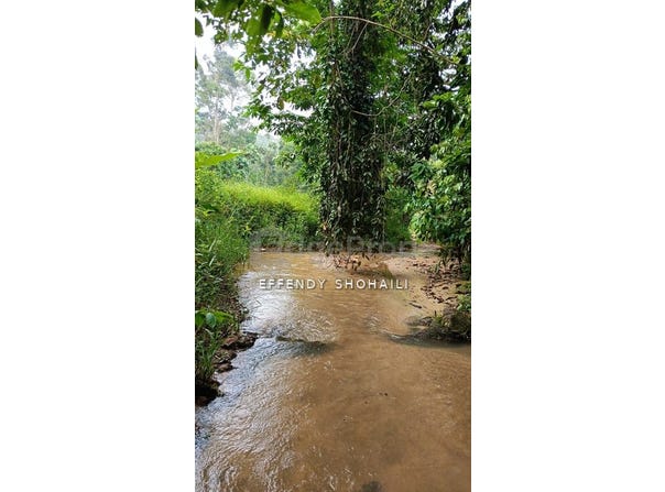Jelebu, Negeri Sembilan 71600