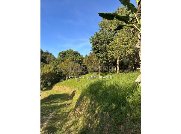 Hulu Langat, Selangor 43100
