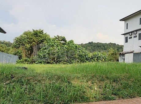 Jalan Rimba Riang, Kota Damansara, Selangor 47810