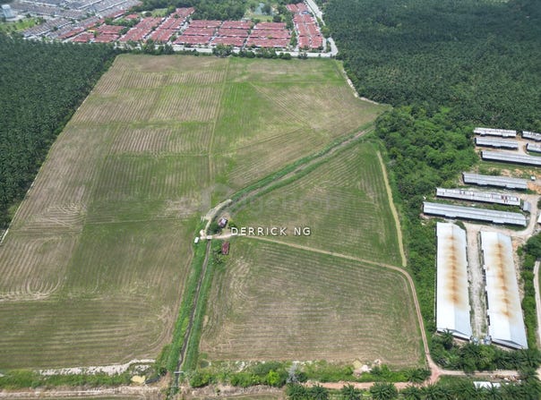 Bedong, Kedah 8100