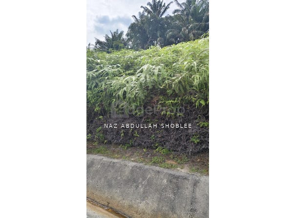 Bandar Teknologi Kajang, Kajang, Selangor 43500