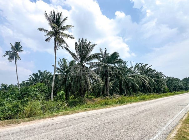 Kapar, Selangor