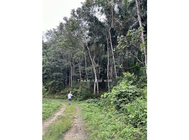 Jalan Impian Murni 2/2, Taman Impian Murni, Kajang, Selangor 43000