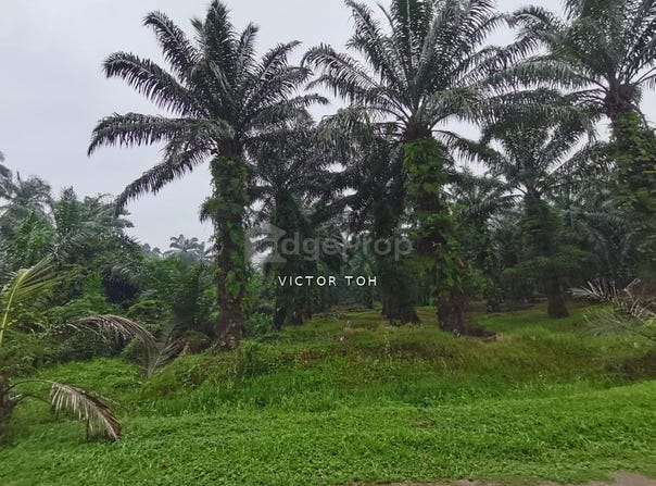 Selangor, Sepang, Selangor 43000