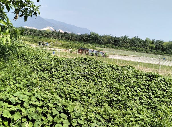 K, Ipoh, Perak 31400
