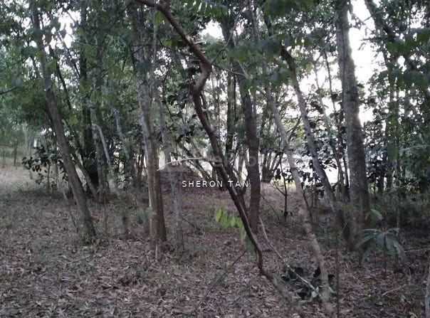 Jalan Putra Harmoni, Subang Jaya, Selangor 47100