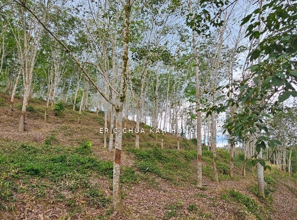 kampung Rasau, Muallim, Perak 35800