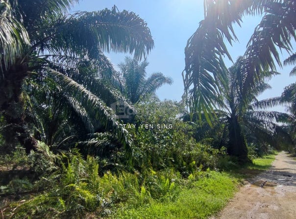T, Telok Panglima Garang, Selangor 42500