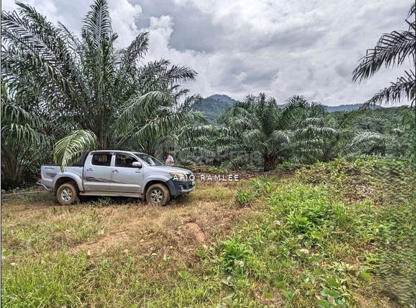 Kuala Kangsar, Perak 31100