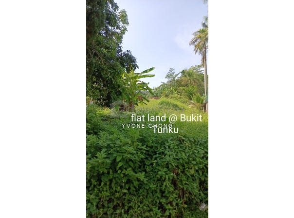 Kenny Hills (Bukit Tunku), Kuala Lumpur 50480