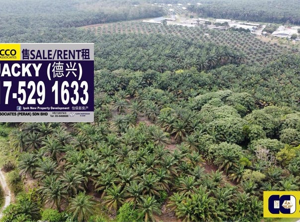 Sungkai, Perak