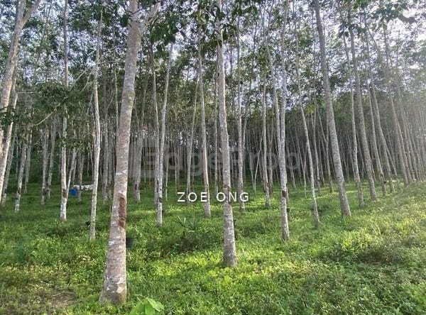 Jenjarom, Selangor 42600