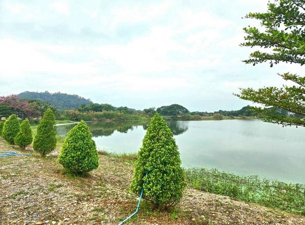 ฮูวน คำทอง, 1156, น้ำดิบ, ป่าซาง, ลำพูน, 51120 ประเทศไทย, ป่าซาง, 