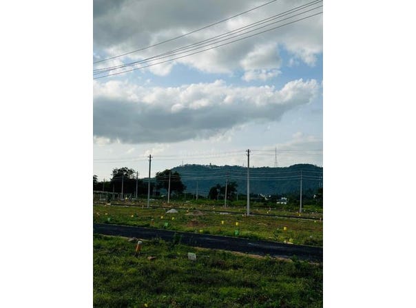 Sarakariuthanahalli, Mysore, Karnataka