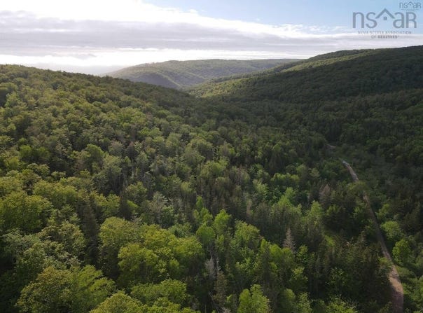 Grant 15819 Marsh Brook Road, Margaree Centre, NS B0E 1Z0