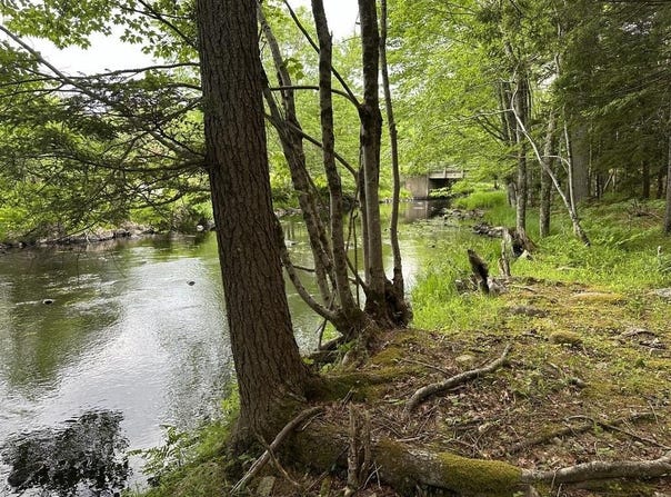 Wentzell Road Lot 1, Baker Settlement, NS B4V 7J4