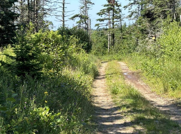 Old Post Road Lot 1, Lake Midway, NS B0V 1A0
