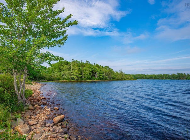 Hamilton Road Lot, Pleasant Valley, NS B5A 5P1