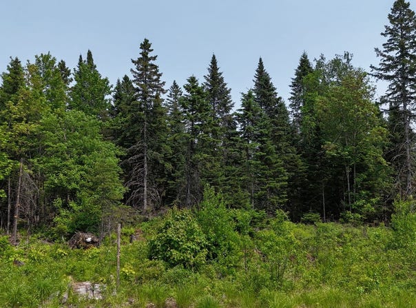 Route 329, Mille-Isles, QC J0R 1A0