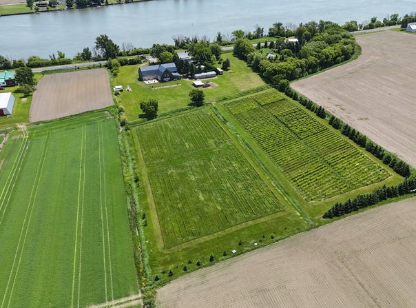1482 Ch. du Rivage, Saint-Antoine-sur-Richelieu, QC J0L 1R0