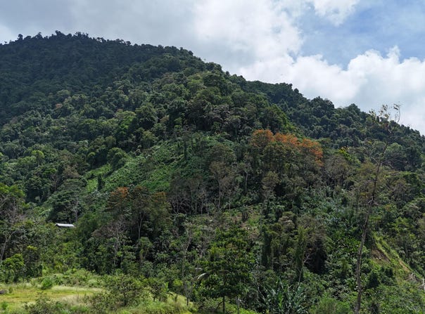 Elegant 3-Bedroom Home with Ocean & Mountain Views in the Heart of Tinamaste, Tinamaste, 