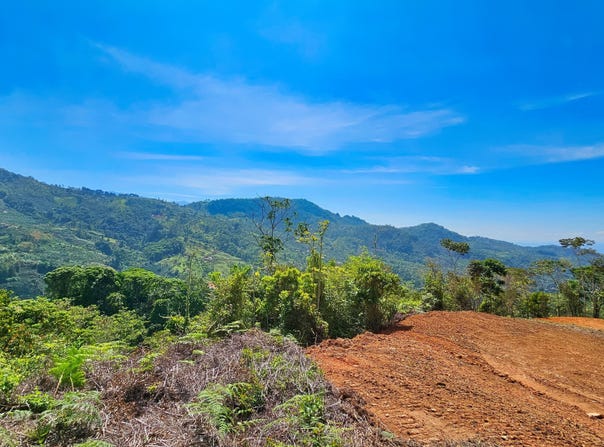 Exceptional Lot  17 Hectare, San Isidro del General, 