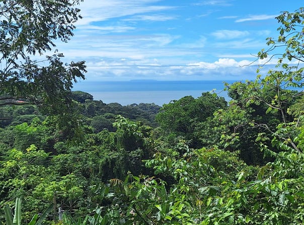 Exceptional Ocean & Mountain View Property in Pinuela Arriba Ojochal, Ojochal, 